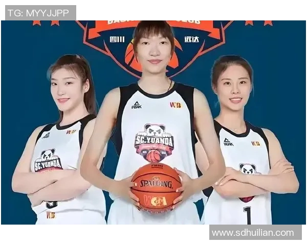 2017年湖北女篮与陕西女篮精彩对决回顾与赛季分析