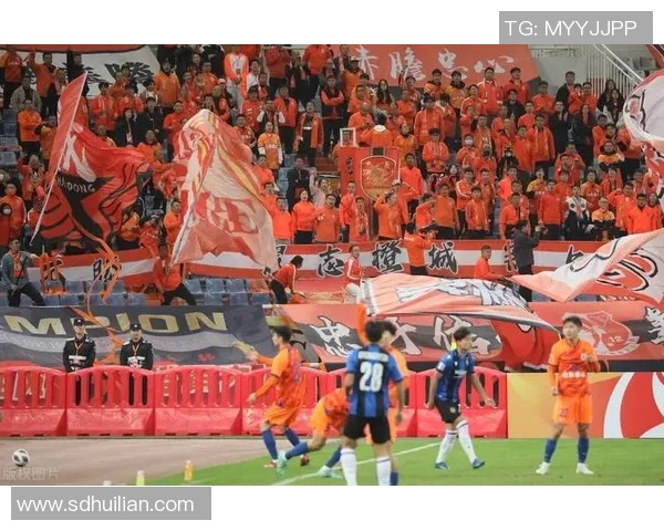 2019年鲁能与上港激战回顾：足球盛宴中的精彩瞬间与战术较量