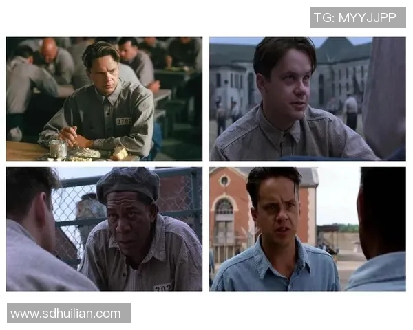 安迪与克劳斯的对决:智慧与勇气的较量引发的思考与启示 安迪与克劳斯的对决:智慧与勇气的较量引发的思考与启示