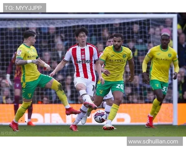 布城与诺维奇的精彩对决谁能在这场比赛中脱颖而出