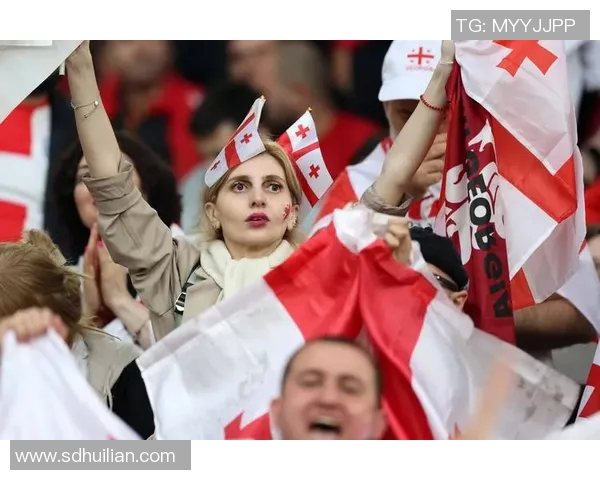 法国与比利时球迷的激情对决与文化碰撞解析