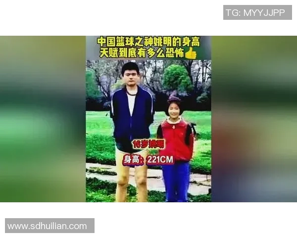 姚明与巨人卡里身高对比谁更高一目了然的揭秘与分析